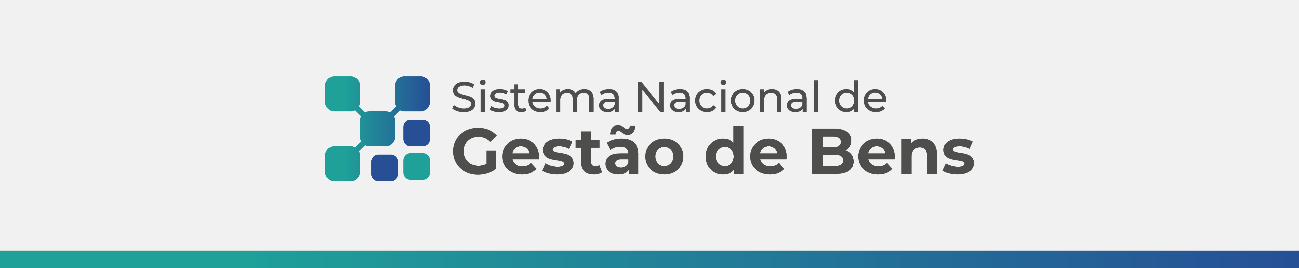 Sistema Nacional de Gestão de Bens