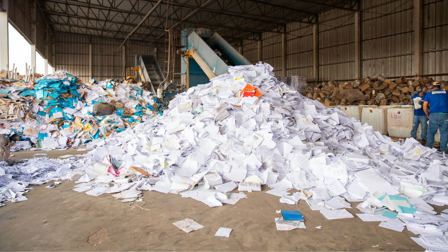 Expo. Voto Sustentável 3