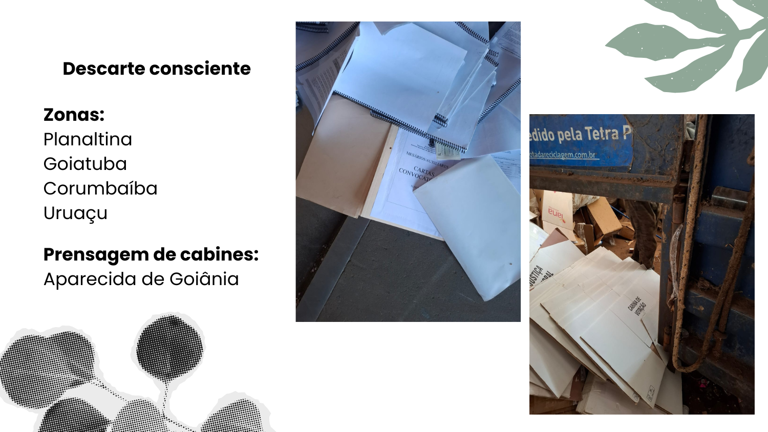 Expo. Voto Sustentável 1