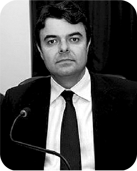 Marcelo A. de Melo Borges (2014 - 2018)
